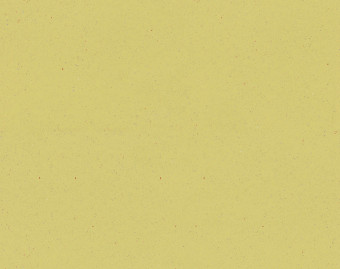 [1001111112_22] Surestep original - 172332 daffodil